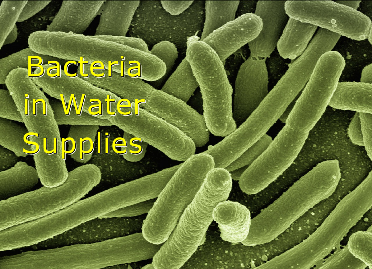 bacteria-in-water-supply-and-how-to-remove-it-natural-health-concerns